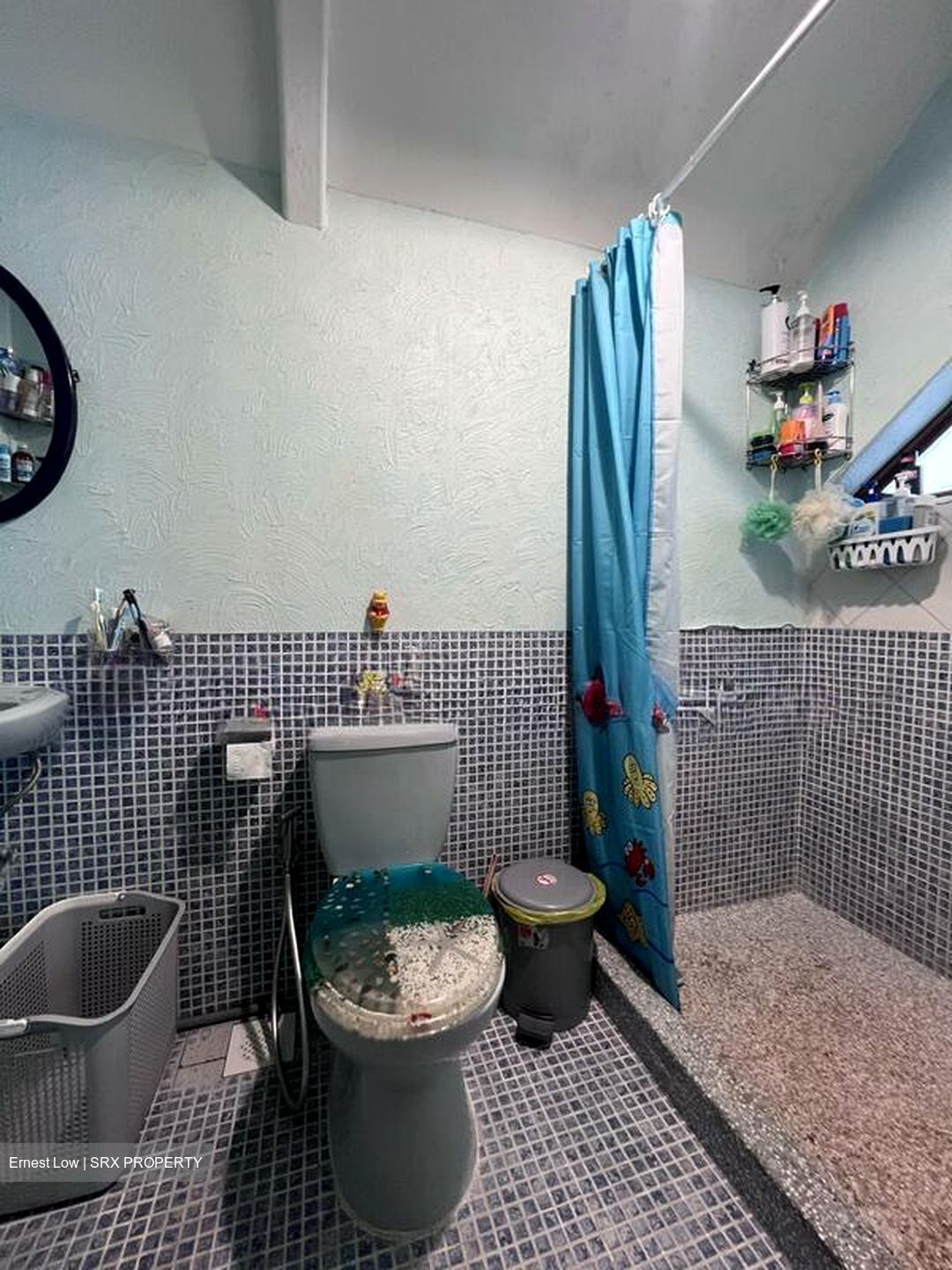 Yishun Avenue 5 (D27), Semi-Detached #498478991
